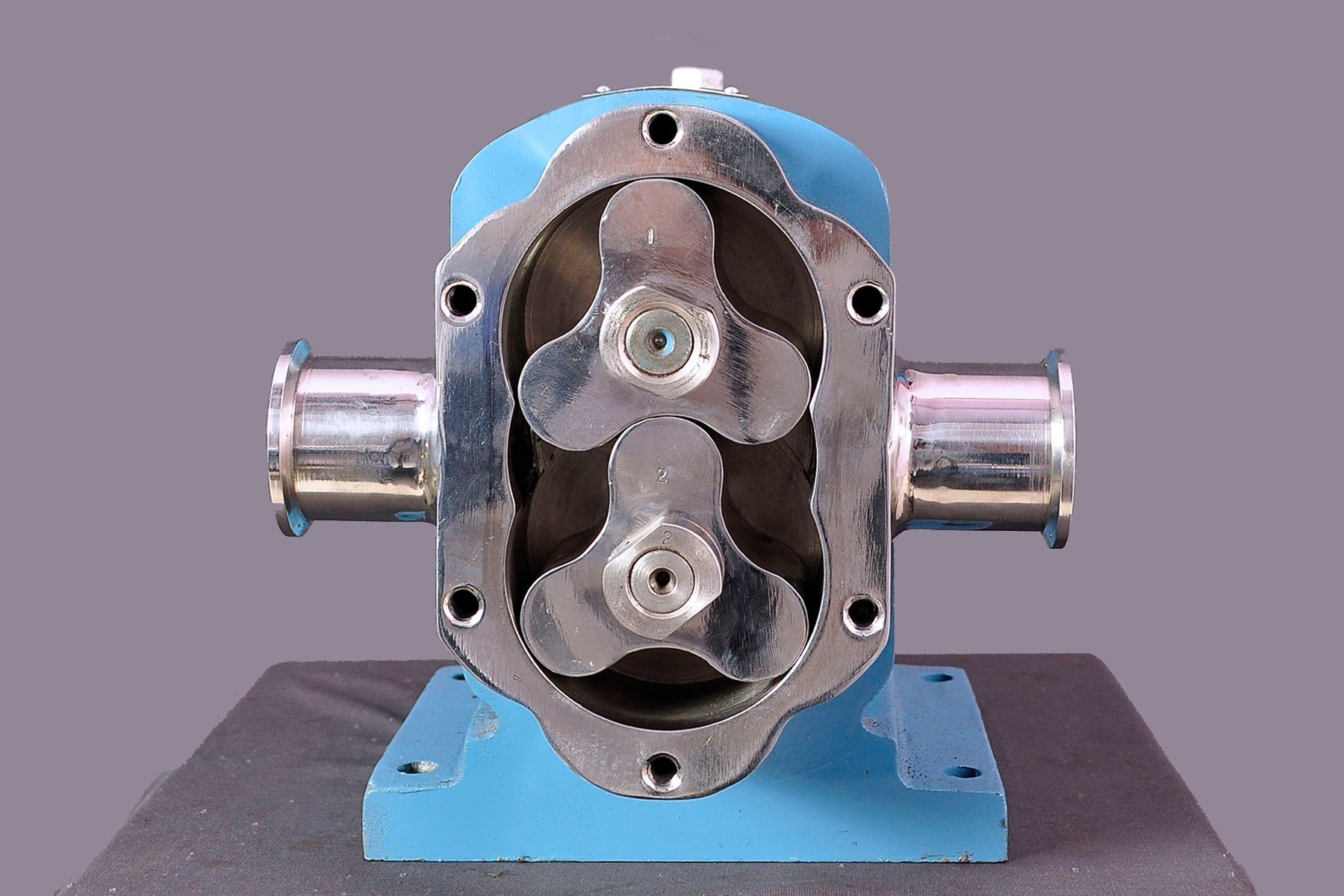 Lobe Pump